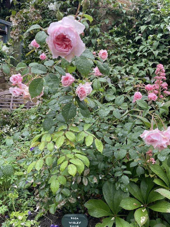 Pashley Manor